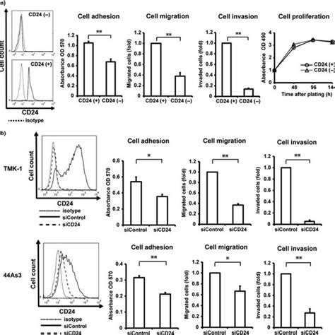 Induced Cell Adhesion Migration And Invasion Abilities In Gca Cell