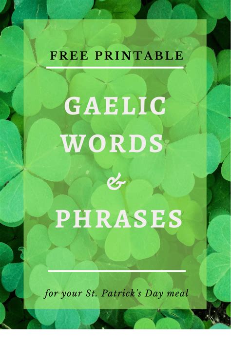 20 Gaelic Words and Phrases for Your St. Patrick's Day Meal - Moonshine ...