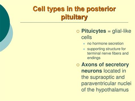 Ppt Hypothalamus And Its Hormones Hormones Of The Pituitary Gland