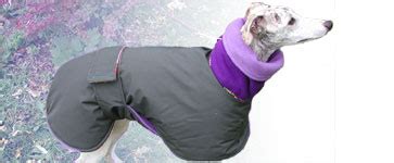 Snow Angel: The World's Warmest Winter Dog Coat | Blue Willow Dog Coats