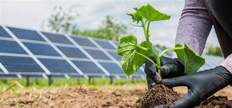 Parco Agrisolare Come Fare Domanda Entro Settembre Moveo