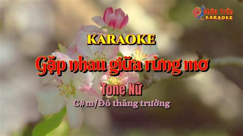 Karaoke G P Nhau Gi A R Ng M Tone N C Th Ng Tr Ng Chau Tran