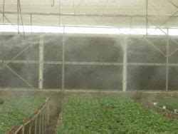 Greenhouse Fogger Green House Fogging System Latest Price