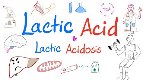 Lactic Acidosis Lactic Acid Lab 🧪 Why Your Muscles 💪 Get Sore 😱