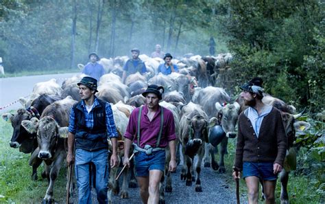 Viehscheid Oberstdorf 2023 Heute Termin Fotos Programm Anfahrt