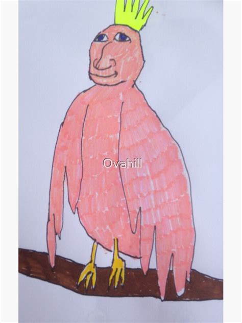 Man Face Bird Sticker By Ovahill Redbubble