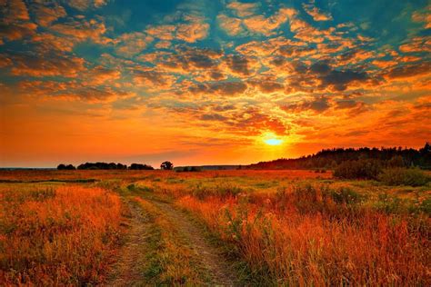 Sunrise Field Sunset Golden Sky Summer Path Nature Glow Beautiful Rays