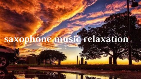 1 Hour Of Calm Relaxing Saxophone Music Musique Relaxante Youtube