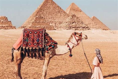 Days Itinerary Cairo Siwa Oasis And Nile Cruise Travel To Egypt