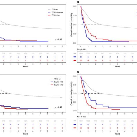 Overall Survival Os Probabilities For Patients With Tp Mutated Aml