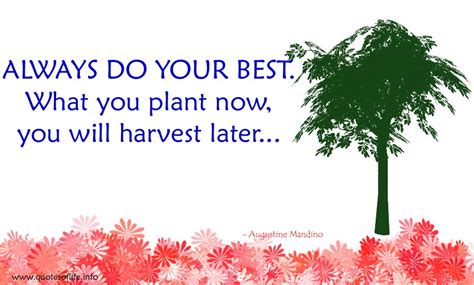 Harvest Quotes. QuotesGram