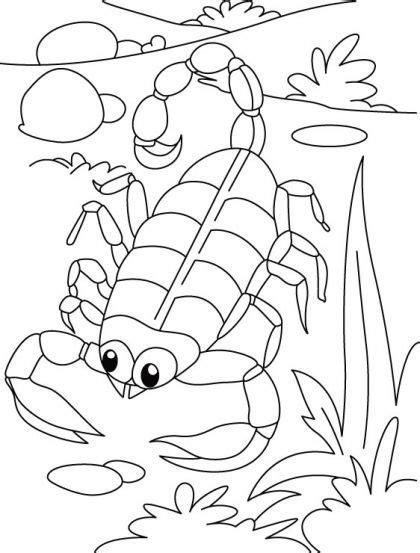 Serpentine Scorpion Coloring Pages Download Free Serpentine Scorpion