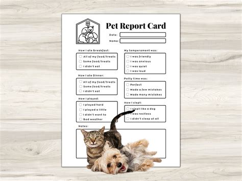 Pet Report Card Dog Report Card Cat Report Card Dog Boarding Report