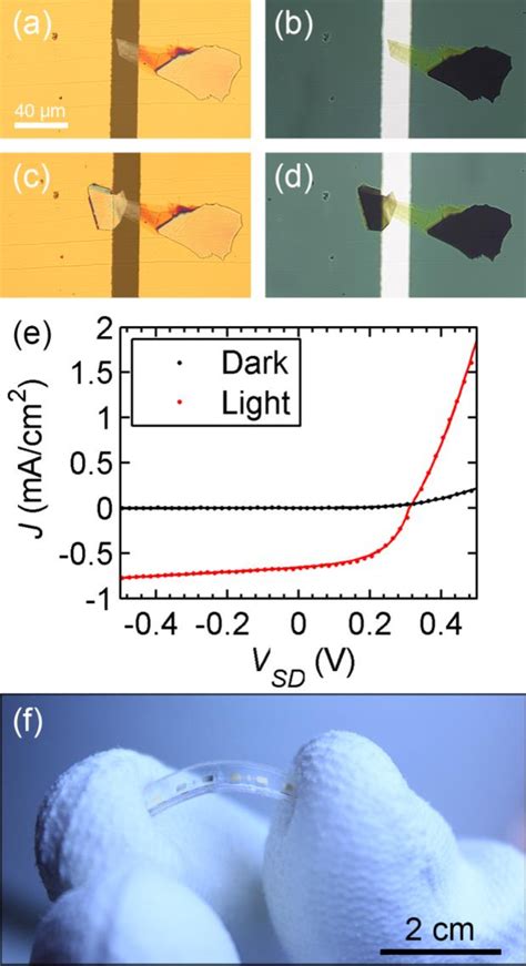 Figure 5 From Gate Tunable Photovoltaic Effect In MoS2 Vertical Pn