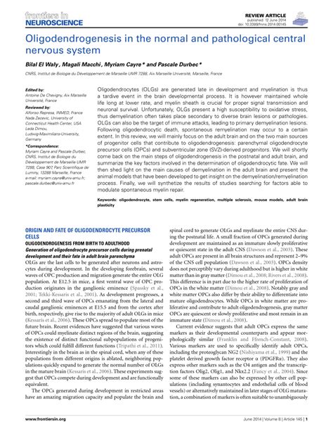 PDF Oligodendrogenesis In The Normal And Pathological Central Nervous