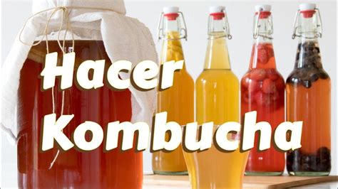 Cómo Hacer Kombucha En Casa Facil Youtube