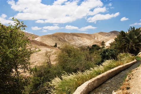 Shared Water Resources In Palestine Fanack Water