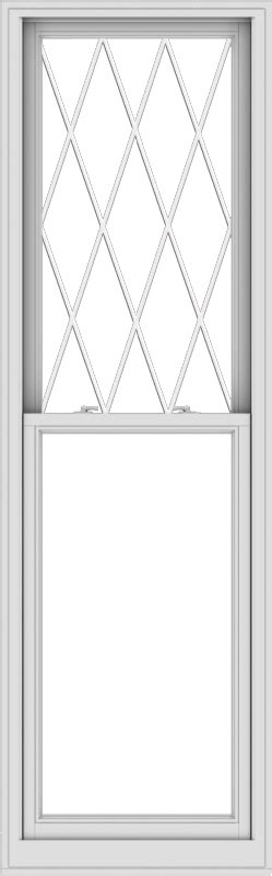 28×90 Window 275 X 895 Window Aluminum Single Double Hung Window