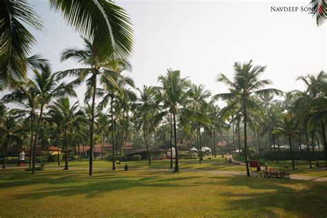 Beautiful Destination Wedding At Taj Village Goa (December 2024)