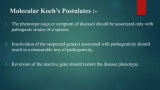 Germ S Theory And Kochs Postulates Ppt