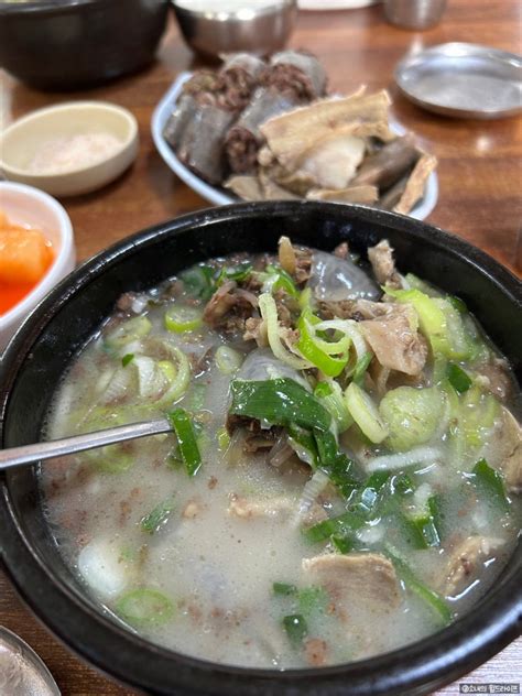 충남 천안 여행 가볼만한곳 병천순대거리 맛집 내돈내산 아우내 한방순대 잡내없이 맛있어요 네이버 블로그