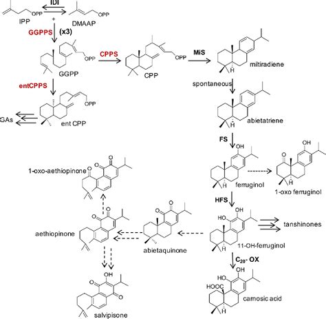 Figure From Boosting The Synthesis Of Pharmaceutically Active