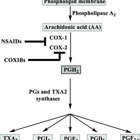 Structure Formulas Of Clinically Used COX 1 And COX 2 Inhibitors