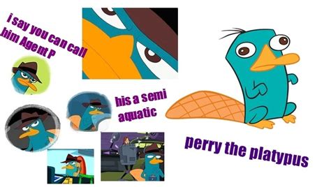 perry - Phineas and Ferb Photo (19442288) - Fanpop