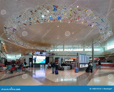 Modern Architecture Dallas Love Field Airport Tx Editorial Image