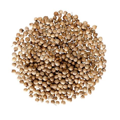 Pure And Raw Commonly Cultivated Dried Coriander Seeds Admixture