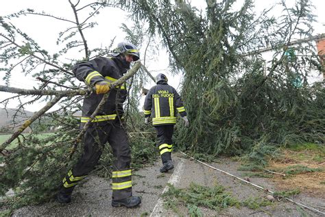 Maltempo In Umbria Alberi Caduti Vento E Pioggia Due Giorni Di