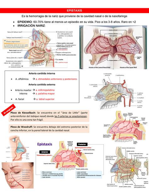 Epistaxis EPISTAXIS Es La Hemorragia De La Nariz Que Proviene De La