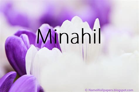 Minahil Name Wallpapers Minahil Name Wallpaper Urdu Name Meaning Name