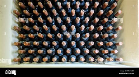 Old Wine Bottles In Cellar Stock Photo Alamy