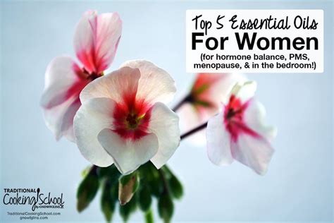 Top 5 Essential Oils For Women For Hormone Balance Pms And More