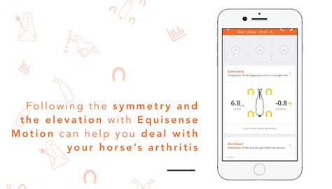 4 Tips To Deal With Your Horses Arthritis Equisense Blog