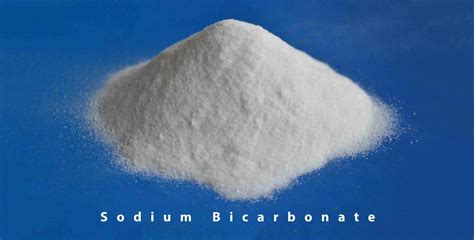 Sodium Bicarbonate Inesh Global Private Limited