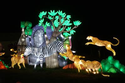 The Intrepid Tourist: GLOFARI AT THE OAKLAND ZOO, CA: Spectacular Larger-Than-Life Animal Lanterns