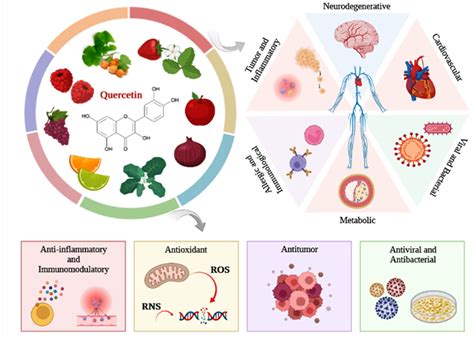 Antioxidants Free Full Text Influence Of The Neuroprotective