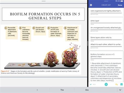 Microbiology Ch 9 Flashcards Quizlet