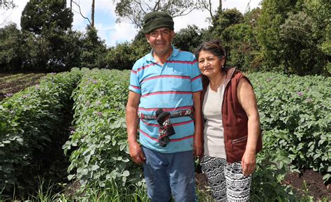 Claves Para Fortalecer La Econom A De Las Familias Colombianas Contactar