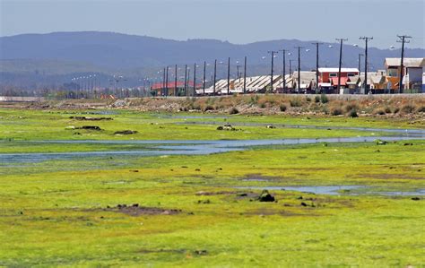 Seremi De Medio Ambiente Llama A Avanzar En La Planificaci N Del Territorio