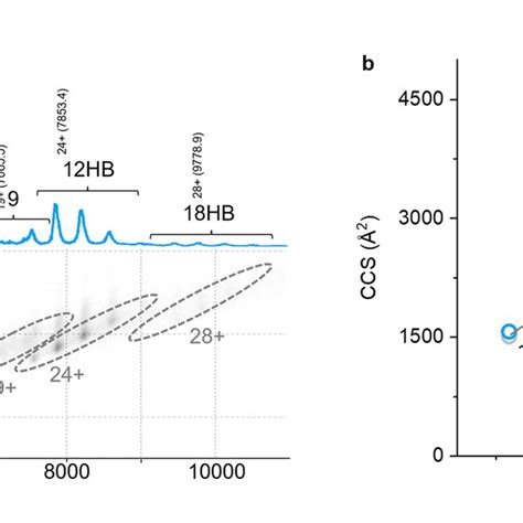 Native Mass Spectrometry And Ion Mobility Analysis Of Dna Nanostructure