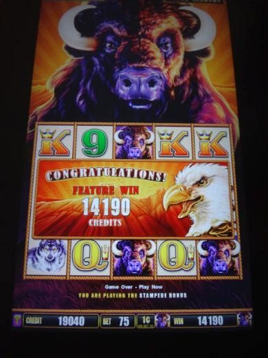 Buffalo Stampede - New 75 Cent Buffalo Slots