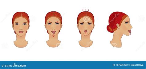 Facial Reflexology Chart Vector 186280238