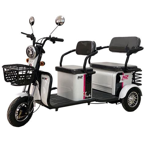 Triciclo elétrico 650W 500W 350W motor differiential 3 roda trike CE