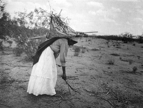 Tohono Oodham Papago Woman In Arizona Gathering Wood In A Carrying