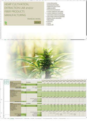 Hemp Cultivation Extraction Manufacturing Business Plan Template