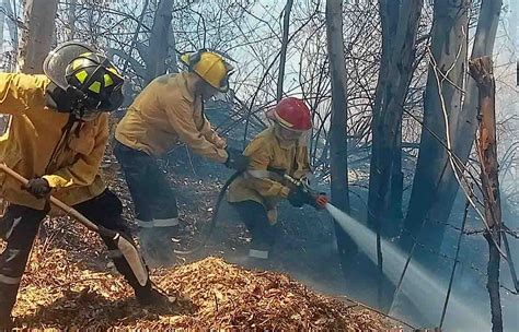 Fuerte Incendio Forestal Consume Un Total De Hect Reas En Zacatecas