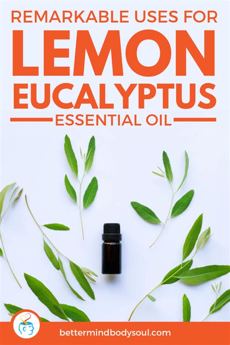 The Many Uses For Lemon Eucalyptus Oil Lemon Eucalyptus Essential Oil Lemon Eucalyptus Oil